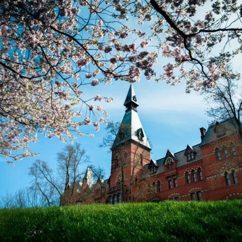 Sage Hall takes in the vista of spring blossoms.