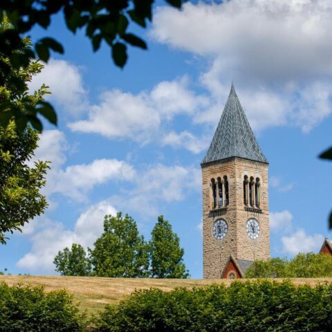 McGraw clock tower sits silent on a summer morning, waiting for just the right moment to chime.