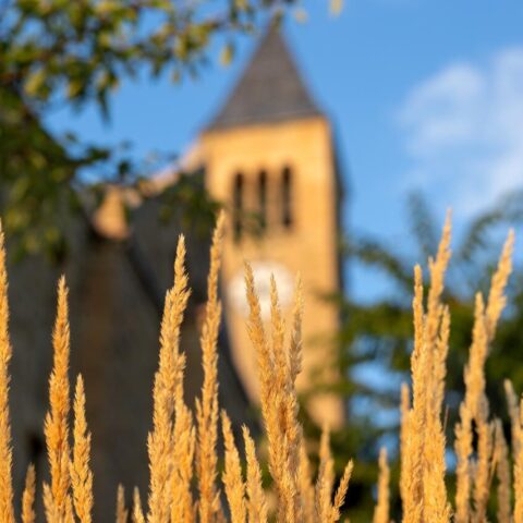McGraw Tower in evening light