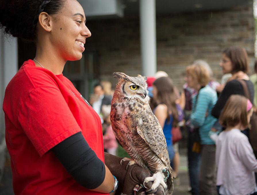a volunteer from the Cornell Raptor program with birds of prey