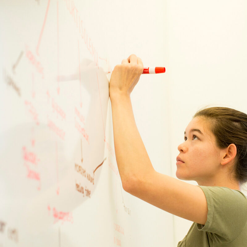 Veterinary Medicine student writes on a whiteboard